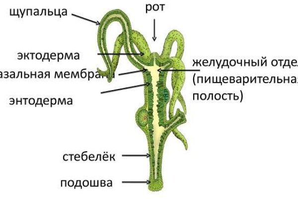 Как зайти в кракен