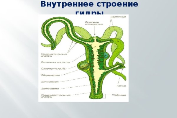 Кракен шеринг