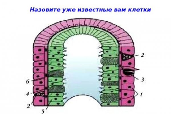 Ссылка на кракен kr2link co