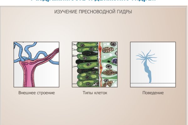 Kraken ссылка kraken link24 info