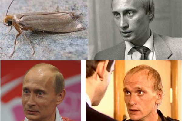 Солярис торговая площадка ссылка