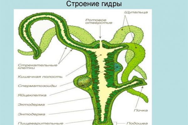 Кракен маркетплейс тор