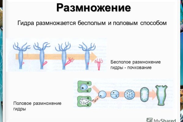 Кракен зайти