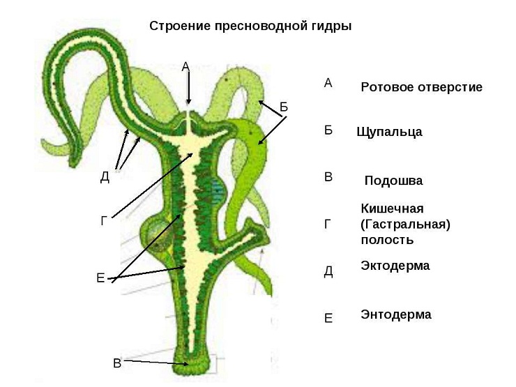 Kraken 2025 ссылка